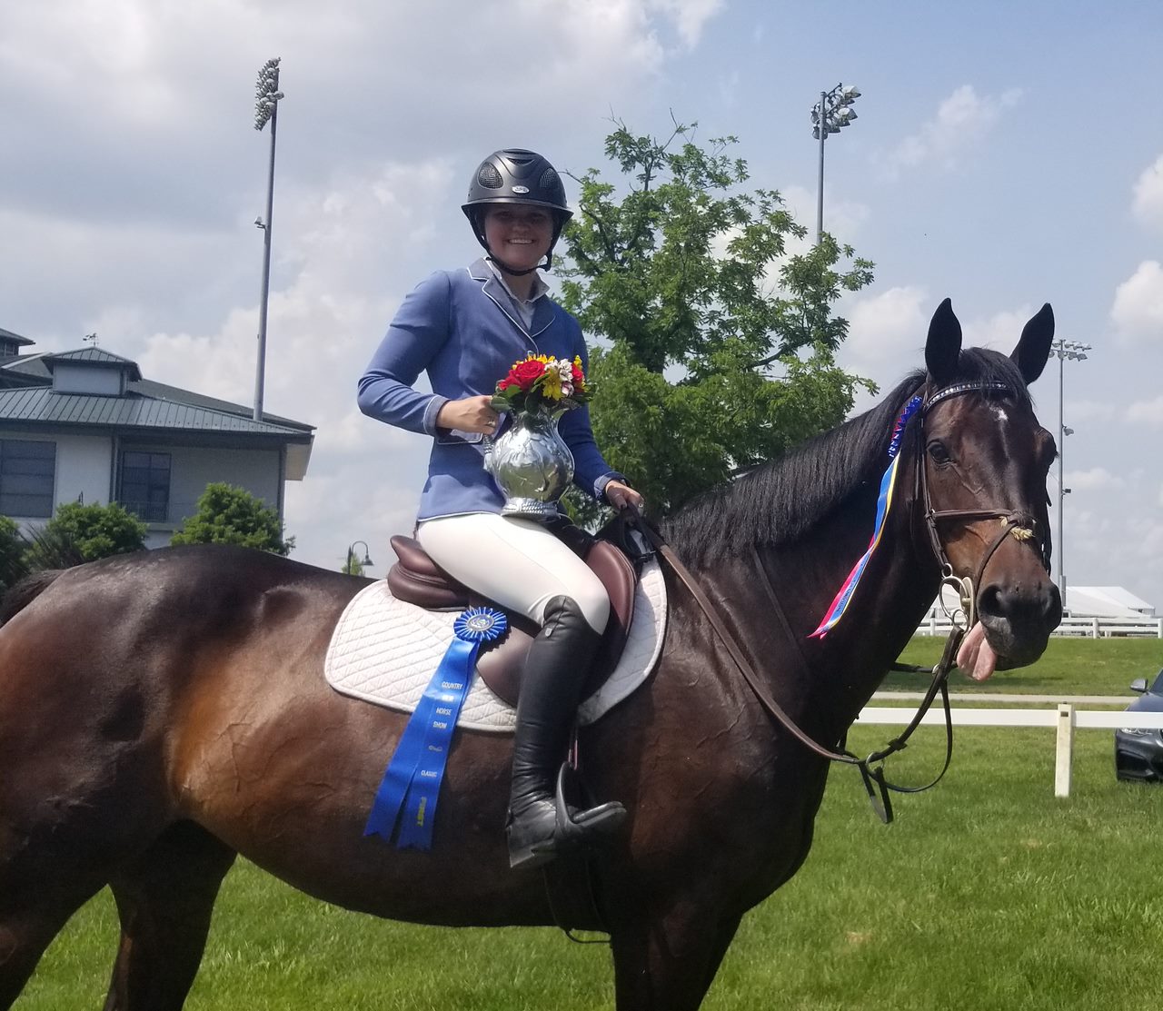 A person on top of a horse in the grass.