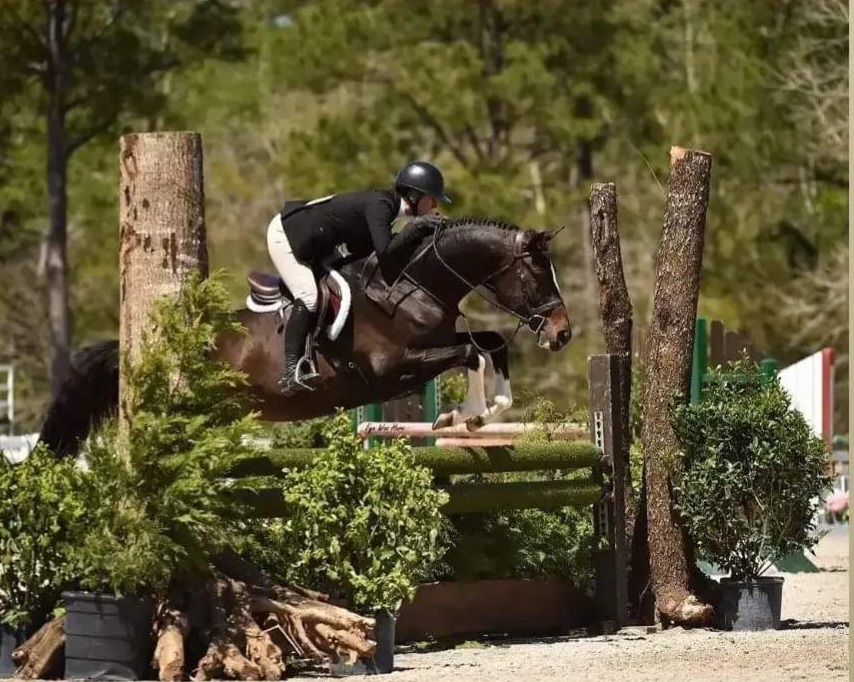 A person jumping over a tree on a horse.